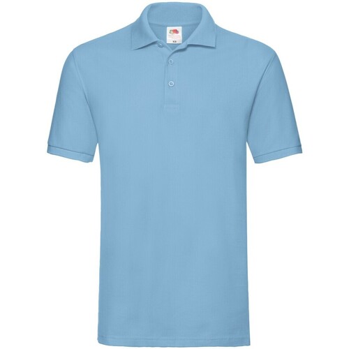 Vêtements Homme T-shirts & Polos Fruit Of The Loom Premium Bleu