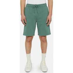 Vêtements Homme Shorts / Bermudas Dickies Mapleton short Vert