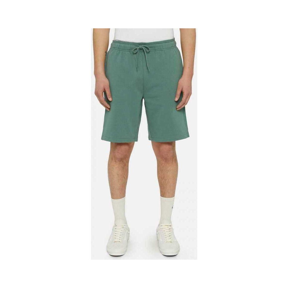 Vêtements Homme Shorts / Bermudas Dickies Mapleton short Vert