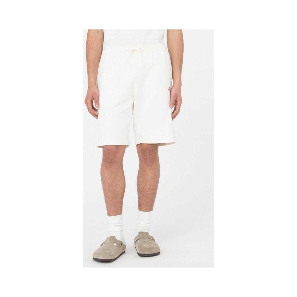 Vêtements Homme Shorts / Bermudas Dickies Mapleton short Beige