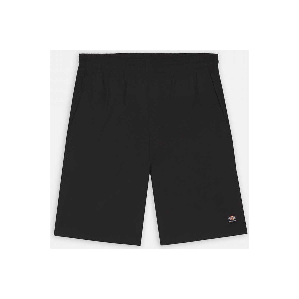 Vêtements Homme Shorts / Bermudas Dickies Jackson cargo short Noir