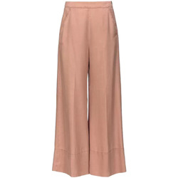 Vêtements Femme Pantalons Pinko Pantalon de palais beige rose Beige