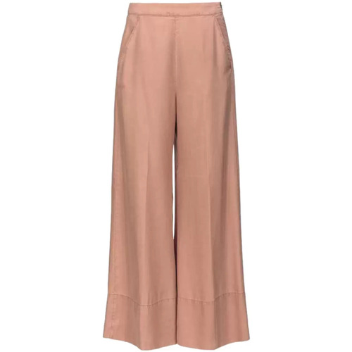 Vêtements Femme Pantalons Pinko Pantalon de palais beige rose Beige