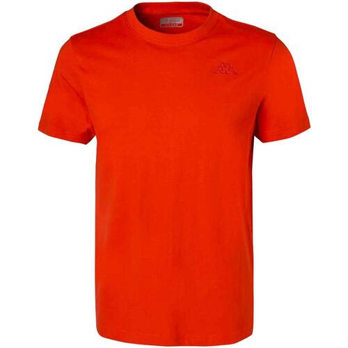 Vêtements Homme T-shirts manches courtes Kappa Cafers slim tee Rouge