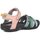 Chaussures Femme Sandales et Nu-pieds Teva Tirra Multicolore