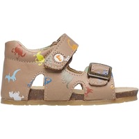 Chaussures Garçon Objets de décoration Falcotto Sandales en cuir à scratch et boucle avec dinosaures BEA Gris