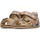 Chaussures Garçon Sandales et Nu-pieds Falcotto Sandales en cuir à scratch et boucle avec dinosaures BEA Gris