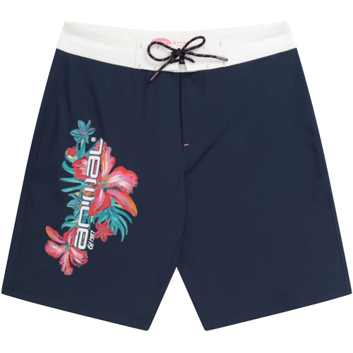 Vêtements Femme Shorts / Bermudas Animal Nora Classic Multicolore