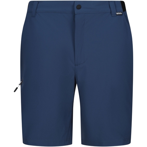 Vêtements Homme Shorts / Bermudas Regatta RG10332 Multicolore