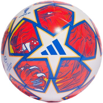 Accessoires Ballons de sport adidas dna Originals Ucl Trn Multicolore