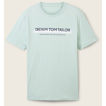 Vêtements Homme T-shirts manches courtes Tom Tailor - Tee-shirt - vert d'eau Autres