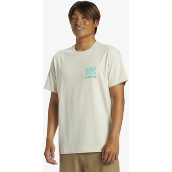 Quiksilver Natural Forms Blanc