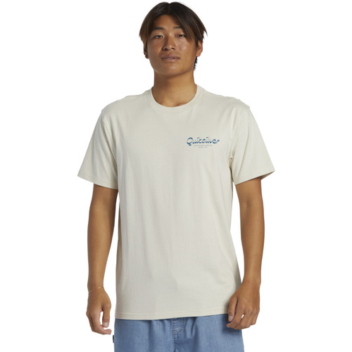 Vêtements Homme T-shirts & Polos Quiksilver Island Mode Blanc