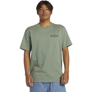 Vêtements Homme T-shirts & Polos Quiksilver Island Mode Vert