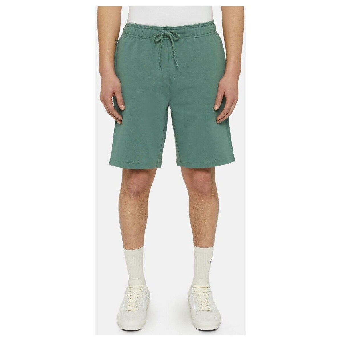 Vêtements Shorts / Bermudas Dickies MAPLETON SHORT DK0A4Y83-H15 DARK FOREST Vert