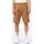 Vêtements Homme Shorts / Bermudas Dickies DUCK CARPENTER SHORT DK0A4XNG-C41 BROWN DUCK Beige