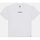 Vêtements Homme T-shirts & Polos Dickies ENTERPRISE TEE DK0A4YRN-WHX WHITE Blanc