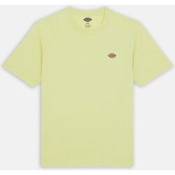 Vêtements Homme T-shirts & Polos Dickies MAPLETON TEE SS 0A4XDB-141 PALE GREEN Vert