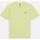 Vêtements Homme T-shirts & Polos Dickies MAPLETON TEE SS 0A4XDB-141 PALE GREEN Vert