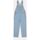Vêtements Femme Combinaisons / Salopettes Dickies CLASSC DNM BIB W DK0A4XYCC-151 VNTG BLUE LIGHT Bleu
