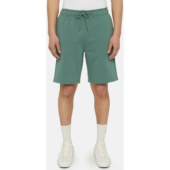Vêtements Homme Shorts / Bermudas Dickies MAPLETON SHORT DK0A4Y83-H15 DARK FOREST Vert