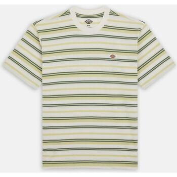 Vêtements Homme T-shirts & Polos Dickies GLADE SPRING DK0A4YR1-J42 STRIPE CLOUD Beige