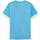 Vêtements Homme Chemises manches courtes Puma IndividualGOAL Graphic Jersey Bleu