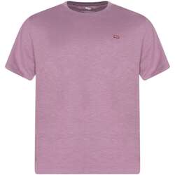 Vêtements Homme T-shirts manches courtes Levi's 163688VTPE24 Rose
