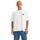 Vêtements Homme T-shirts & Polos Levi's A1005 0001 - BOX SKATE TEE-WHITE CORE Blanc