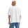 Vêtements Homme T-shirts & Polos Levi's A1005 0001 - BOX SKATE TEE-WHITE CORE Blanc