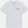 Vêtements Homme T-shirts & Polos Dickies RUSTON TEE SS DK0A4XDC-H80 WHT/PALE GREEN Blanc