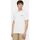 Vêtements Homme T-shirts & Polos Dickies RUSTON TEE SS DK0A4XDC-H80 WHT/PALE GREEN Blanc