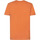 Vêtements Homme T-shirts & Polos Petrol Industries T-Shirt  Palmetto Orange Orange