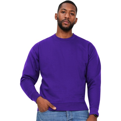 Vêtements Homme Sweats Casual Classics AB519 Violet