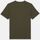 Vêtements Homme T-shirts & Polos Dickies SUMMERDALE SS - DK0A4YA-MGR MILITARY GREEN Gris