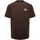 Vêtements Homme T-shirts & Polos Dickies RUSTON TEE SS DK0A4XDC-H16 MOCHA BISQUE Marron