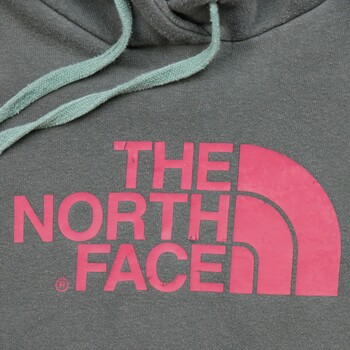 The North Face Sweat à capuche  Hoodie Gris