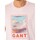 Vêtements Homme T-shirts manches courtes Gant T-shirt graphique délavé Rose