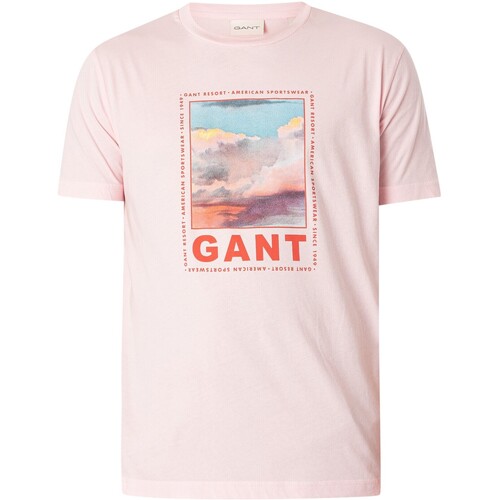 Vêtements Homme T-shirts manches courtes Gant T-shirt graphique délavé Rose
