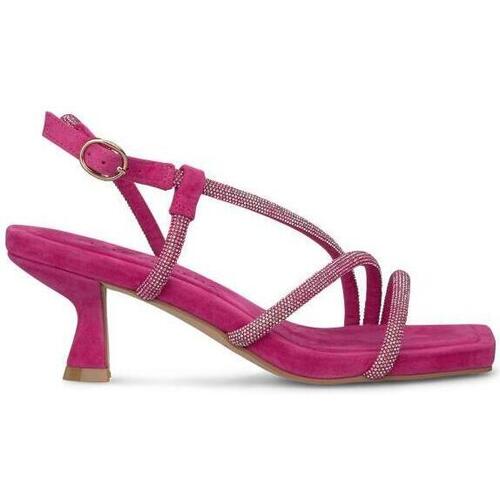 Chaussures Femme Sandales et Nu-pieds Taies doreillers / traversins V240656 Violet