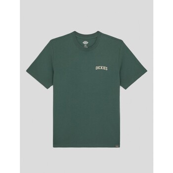Vêtements Homme T-shirt 100 % coton à imprimé coeur du 0 au 3 ans Dickies  Vert