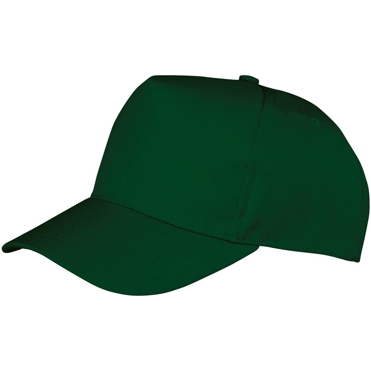 The North Face Casquettes Result Core Vert