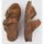 Chaussures Femme Sandales et Nu-pieds Panama Jack SHIRLEY B15 Marron