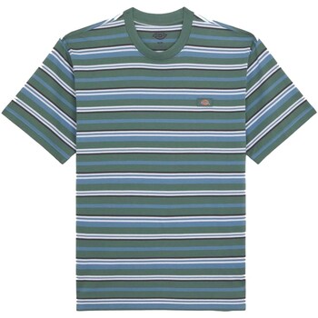 Vêtements Homme Warrenton Shirt Ls Dickies DK0A4YR1H591 Autres