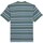 Vêtements Homme T-shirts manches courtes Dickies DK0A4YR1H591 Autres
