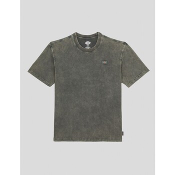 Vêtements Homme College T-shirt Printed Long Sleeved Dickies  Vert
