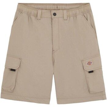 Vêtements Homme Cal Shorts / Bermudas Dickies DK0A4YACSS01 Multicolore