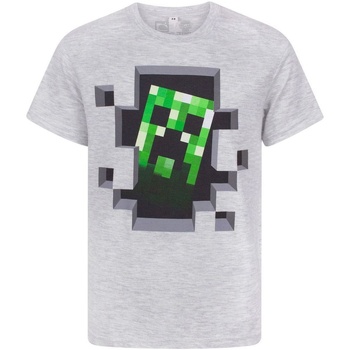 Vêtements Enfant T-shirts manches courtes Minecraft  Gris