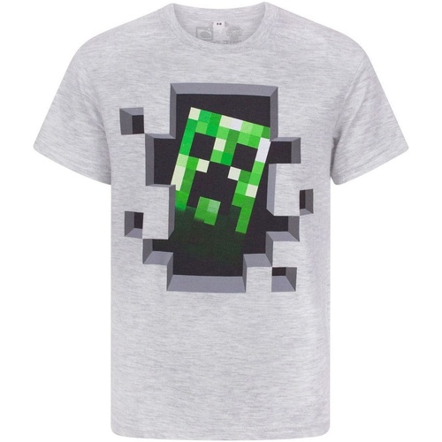 Vêtements Enfant alexander mcqueen cap sleeve shirt dress item Minecraft Creeper Inside Gris