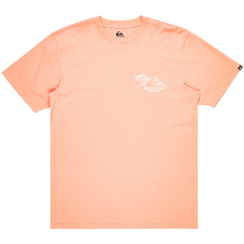 Vêtements Homme T-shirts & Polos Quiksilver Run Ashore 18 Rose